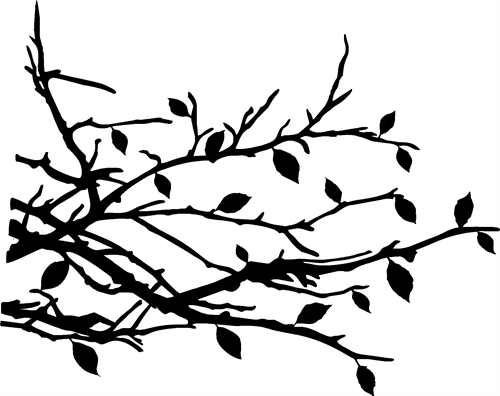 Branches & Leaves