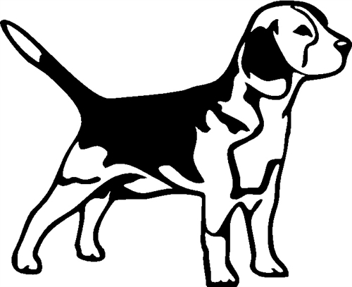 Beagle02